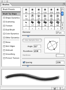 Brushes palette with Brush Tip Shape options displayed
