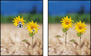 Example of altering an image with the cloning tool