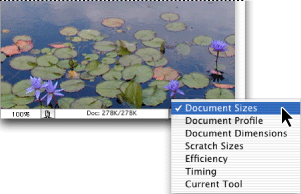 Illustration of file information view options in Photoshop