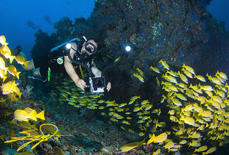 image courtesy of underwaterphotography.com photo contest - copyright Nicholas Samaras