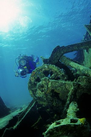 image courtesy of underwaterphotography.com photo contest - copyright Francisco Nakahara