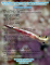 click to see full size version 