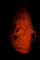 click to see full size version 