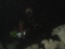 click to see full size version 