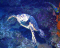 click to see full size version 