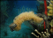 click to see full size version 
