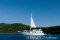 click to see full size version 