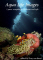 click to see full size version 