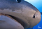 click to see full size version 