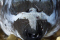 click to see full size version 