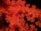 click to see full size version 