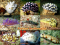 click to see full size version 