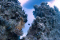 click to see full size version 