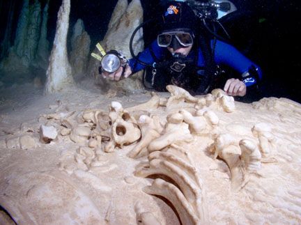 Giant sloth bones in kolimba cave 