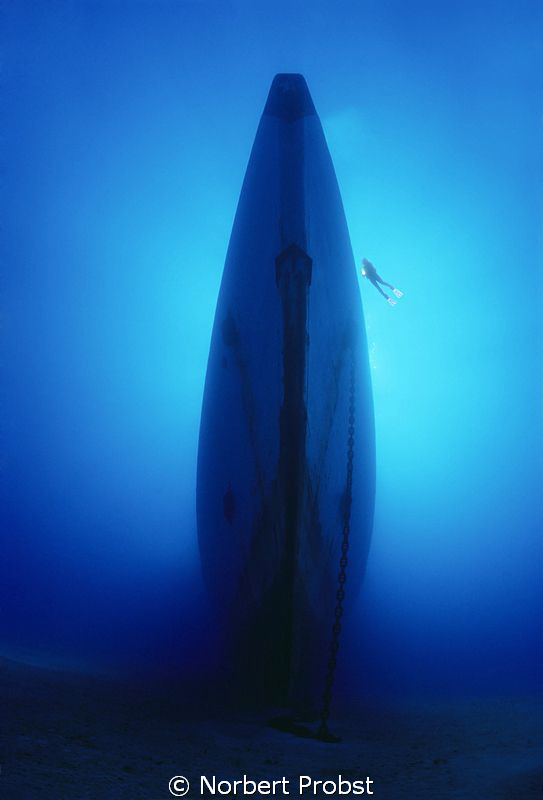 Roaring Silence
Diver explores wreck of a sunken fregate. 
