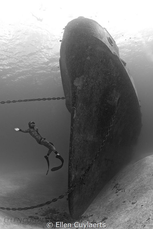 Fly

Freediver at the bow of the EX-USS Kittiwake (Mark Tilley) 