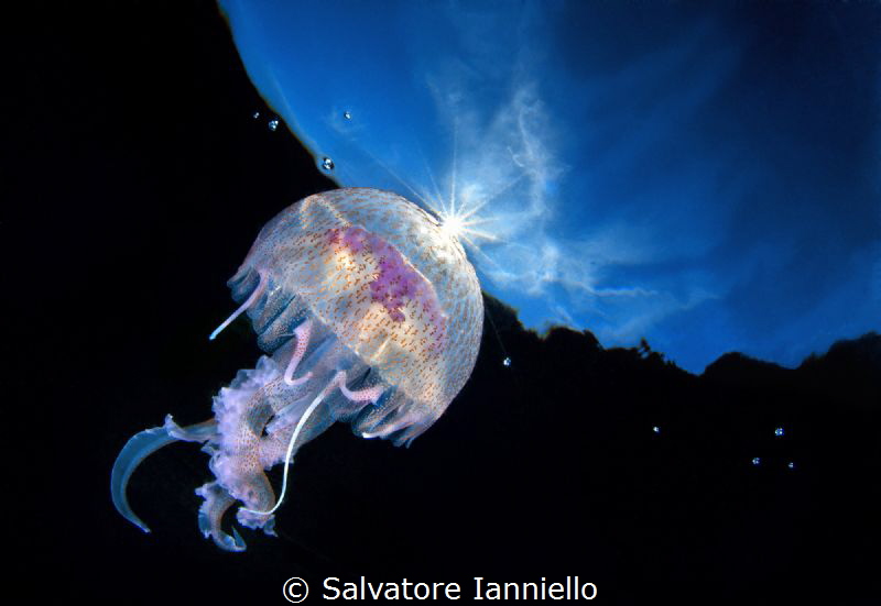 Salvatore Ianniello