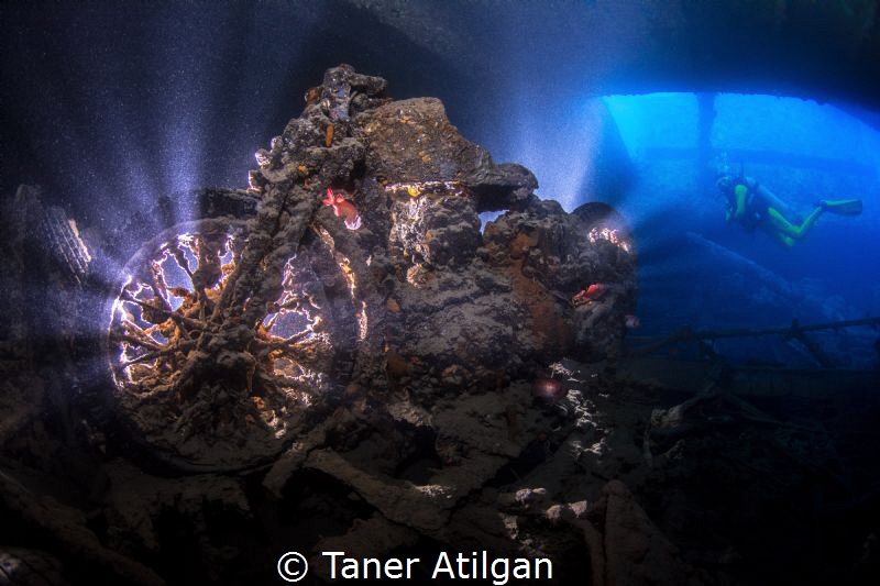 Taner Atilgan