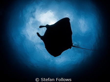 Stefan Follows