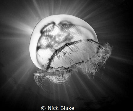 Nick Blake