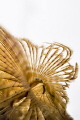 b White elegance /b b White elegance /b