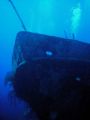 Wreck of the Austin Smith. Aquacat Liveaboard trip. Jan 6 2006