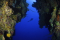 Never stop exploring
North Wall Grand Cayman Never stop exploring
North Wall Grand Cayman