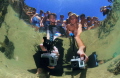 this is what the tide pool creatures see when you stick a GoPro or two in thier home this is what the tide pool creatures see when you stick a GoPro or two in thier home