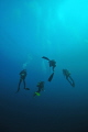 Divers in the blue for safety stop. Divers in the blue for safety stop.