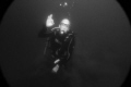 Vintage Pose. Taken at Lake Barrine North Queensland. depth 14m vis around 2m. Vintage Pose. Taken at Lake Barrine North Queensland. depth 14m vis around 2m.