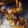 Klein Bonaire Klein Bonaire