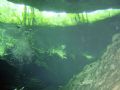 Cenote diving, Mexico