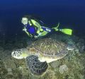 model and turtle on the move!using 16 mm fisheye to get up close and personal