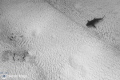Minimal Shark

Bull shark Playa del Carmen
Nikon D700
Sea & Sea housing
Nikon 16-35mm