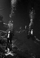 Divers exporing the Cenote Divers exporing the Cenote
