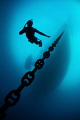 Free diver Free diver