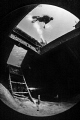 Inside Looking Out
Doc Polson shipwreck Grand Cayman
I purposely used my fisheye lens with an extension ring on the dome for forced vingetting. Inside Looking Out
Doc Polson shipwreck Grand Cayman
I purposely used my fisheye lens with an extension ring on the dome for forced vingetting.