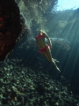 Underwater model in mediterranean sea