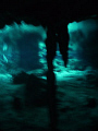 this is in the cenotes in mexico , the photo was taken with a dc500 reefmaster , the photo was at the point whare salt water and freash meet  causing a blur efect try it in a glass