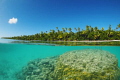 The beautiful shore of Tetiaroa in French Polynesia with its golden beach and stunning Porites corals