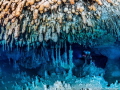 An amazing cave dive at Cenote Otoch Ha near Tulum, Mexico with some amazing formations such as these funky stalactites.