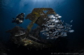 B O U N T Y W R E C K
Gili Meno
Lombok Gili Indonesia. B O U N T Y W R E C K
Gili Meno
Lombok Gili Indonesia.