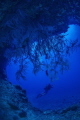 Into the deep blue caves of Situ island Into the deep blue caves of Situ island