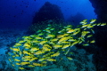 Underwater hills Underwater hills