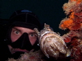 Scorpaena porcus
Somebody is watching me Scorpaena porcus
Somebody is watching me