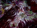 Still life
POSEIDON Still life
POSEIDON