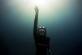 - Let's go to the light -
Last light of the day use to capture this shot of a free diver. The photo was taken freediving as well. Having the sun in the back of the person, makes that look of heaven, going to the light.