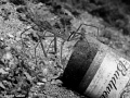 Don t drink an dive Don t drink an dive