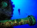 Theo's Wreck (Nikon F4, 18mm/3.5, Aquatica housing, Ikelite strobes, Provia F)