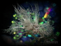 NUDI NIGHT FEVER
3P Romblon NUDI NIGHT FEVER
3P Romblon